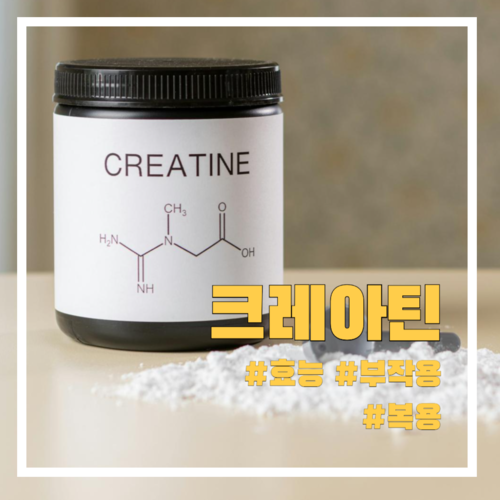 크레아틴